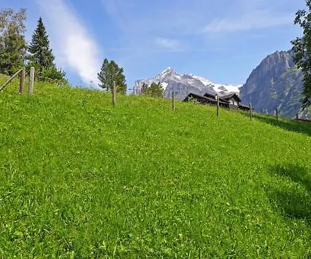 Chalet Bracher Lejlighed Grindelwald