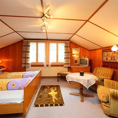 Chalet Bracher Lejlighed Grindelwald