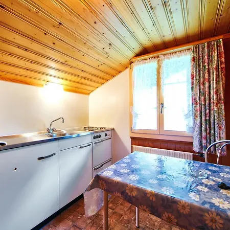 Chalet Bracher Lejlighed Grindelwald